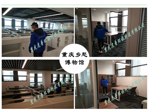 重庆甲醛治理公司 重庆甲醛治理公司