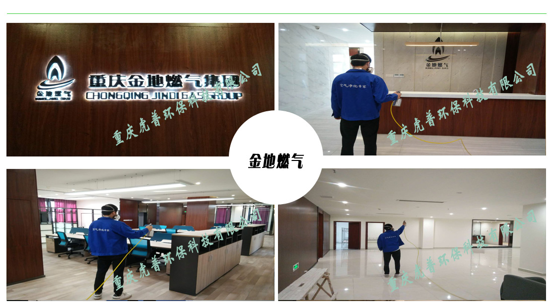 重庆甲醛治理公司 重庆甲醛治理公司